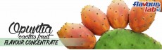 Opuntia (Cactus fruit) Flavour Concentrate