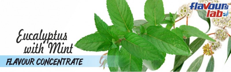 Eucalyptus with Mint Flavour Concentrate