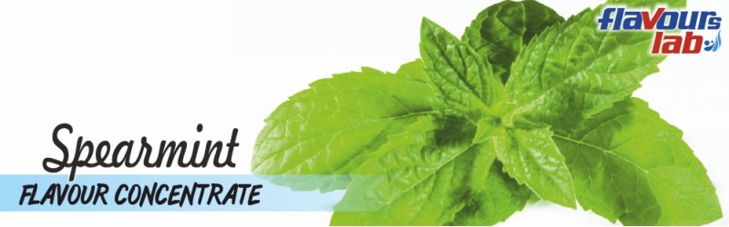 Spearmint Flavour Concentrate